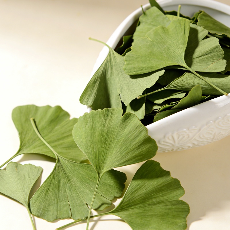 Soap Making Fragrance - Kaliteli Kurutulmuş Ginkgo Biloba Yaprakları Güzellik